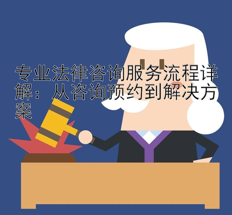 专业法律咨询服务流程详解：从咨询预约到解决方案