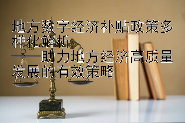 地方数字经济补贴政策多样化解析  
——助力地方经济高质量发展的有效策略